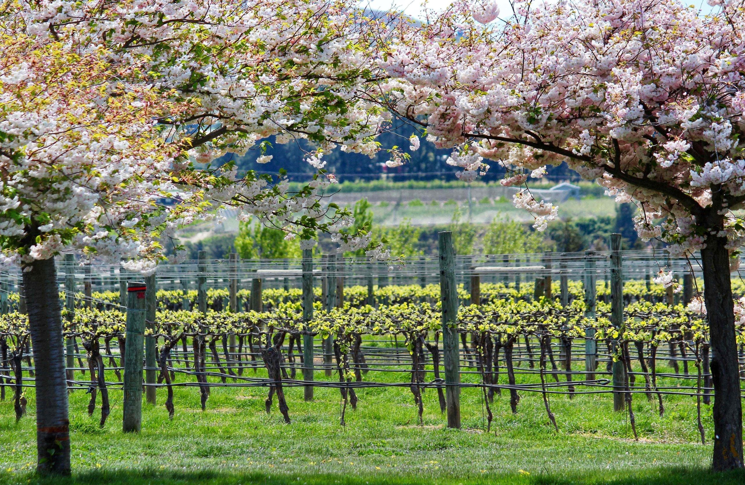 CoLab Wine Merchants